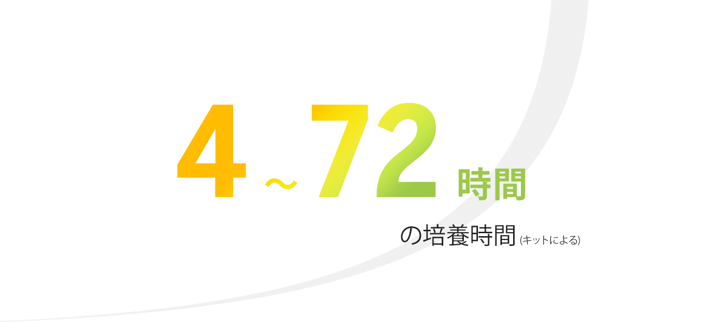 API® 微生物同定検査のファーストステップ | ビオメリュー